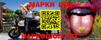 дмт Камышлов