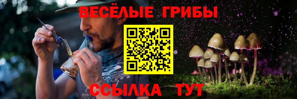 Кропоткин  Галлюциногенные грибы Psilocybine cubensis  Вход с VPN 